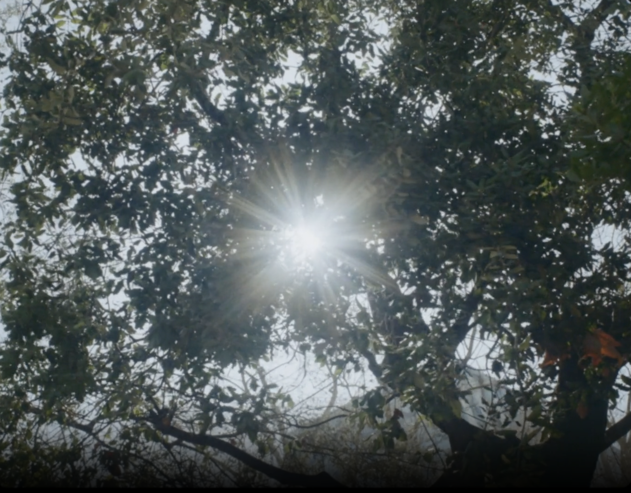 Ikea – By your side